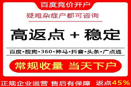 百度竞价推广与SEO结合的策略——以某科技公司为例